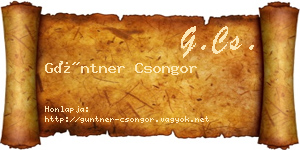 Güntner Csongor névjegykártya